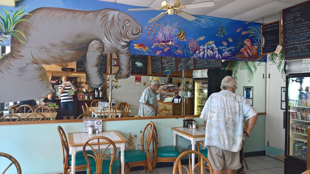 Bagel Island Cafe